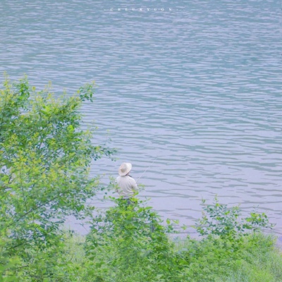 银海福瑞交流群